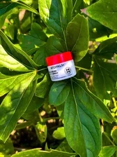 Atopalm Крем увлажняющий ламеллярный - MLE cream (миниатюра), 8мл