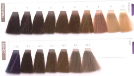 Hair Company,Крем-краска INIMITABLE COLOR Coloring Cream