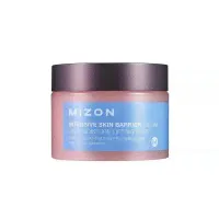Mizon Intensive Skin Barrier Cream